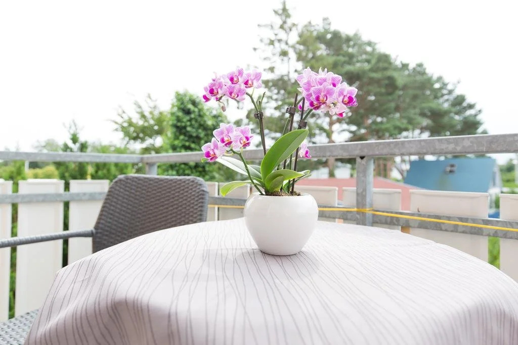 Hotel Garni Am Deich Zingst