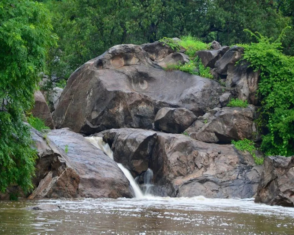 Shikar Oudi Jungle Villa