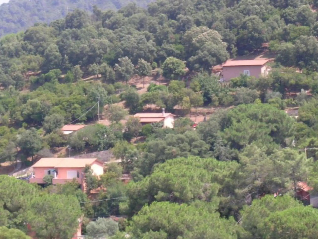 Four Family House - Tree Rooms apt. 5/7 ps.; 250-300 to the sea (sandy beach)-SERENA D