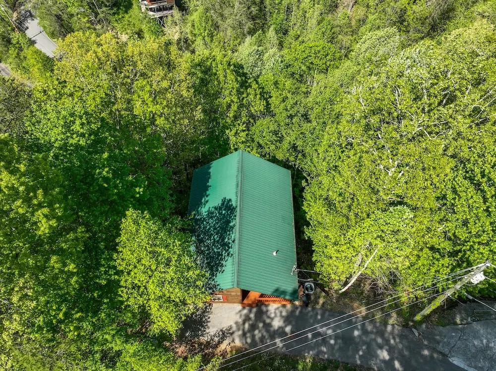 Only Dreamin' Cabin w/ Private Hot Tub