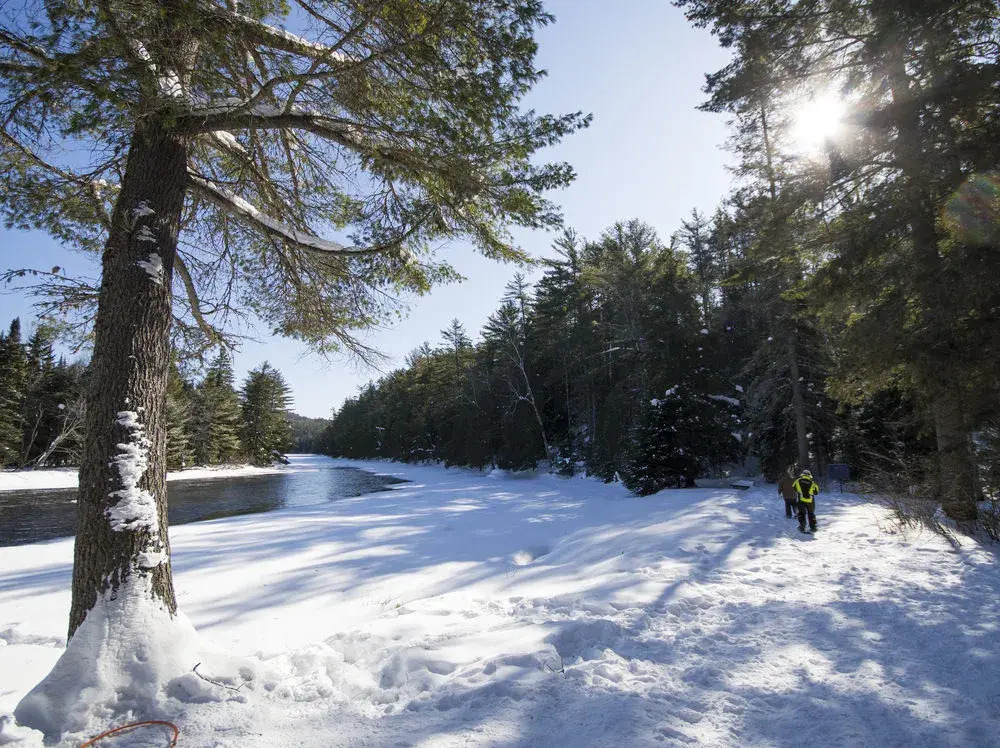 The Canadian Ecology Centre