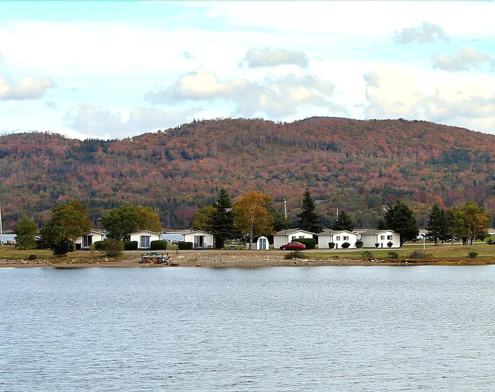 The Cove Cabins