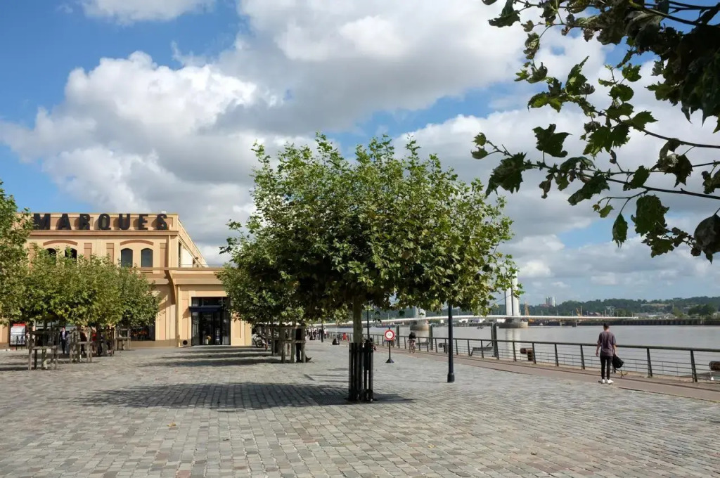 Luxurious 65M2 Appartment In Front Of The River