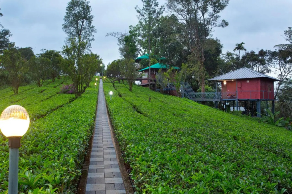 Dream Catcher Plantation Resort
