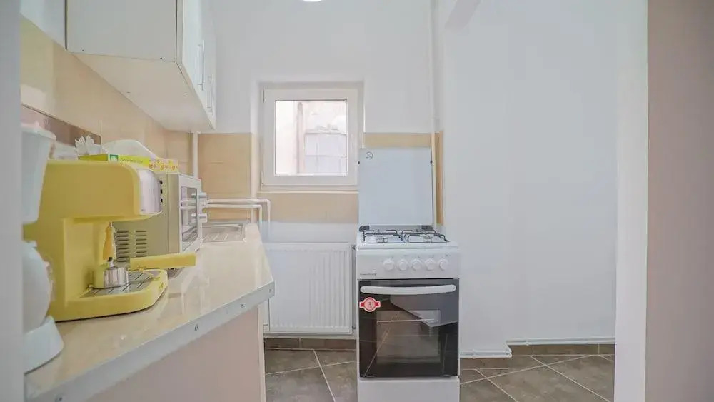 CN2i Luxury Accommodation Cismigiu