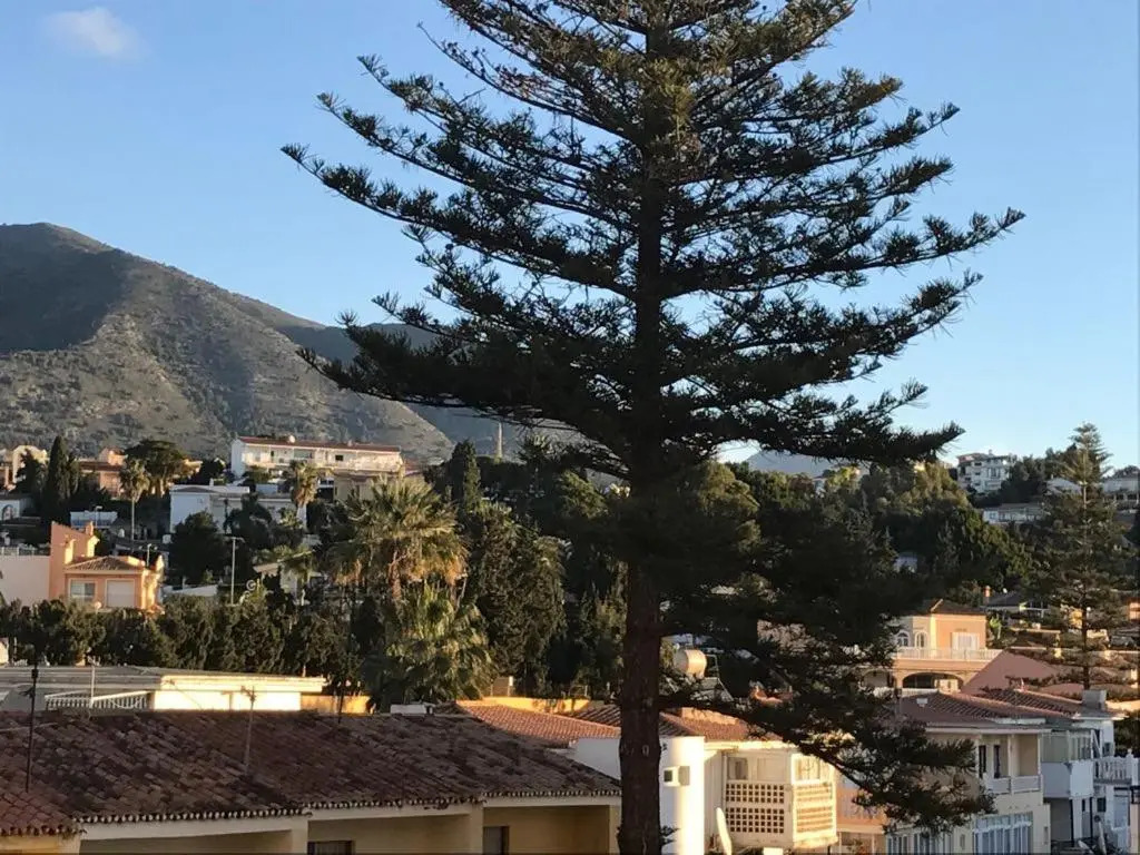 Aprtamentos en Torreblanca