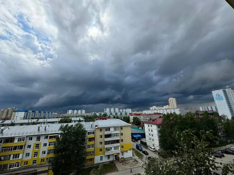 Bragin HILL (Брагин Хилл) на улице Мира 83
