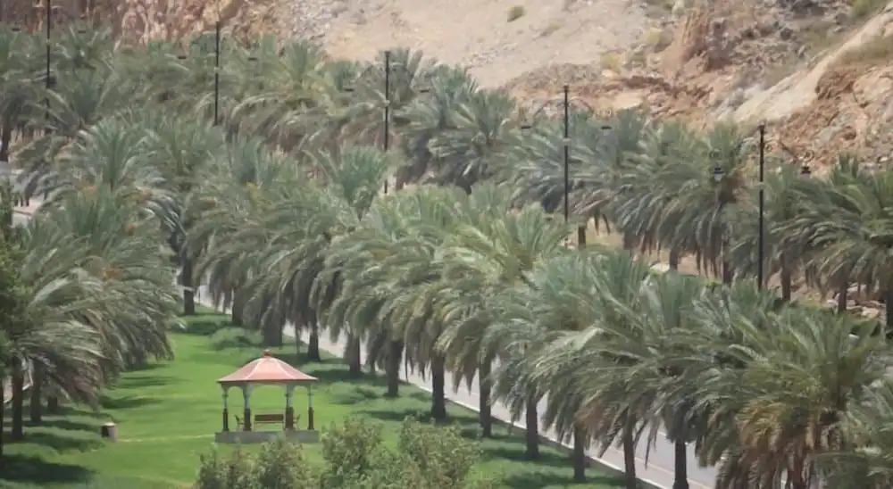 Pioneer Hotel Apartments Muscat