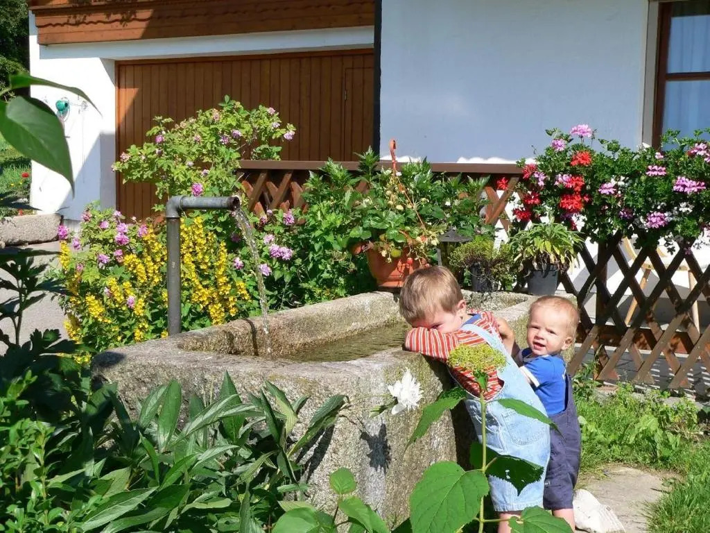 Klausgupf