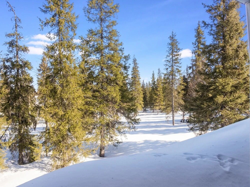 Nelikko a Kuusamo in Kuusamo