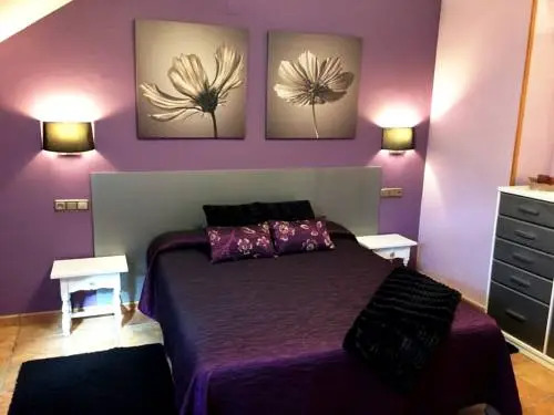 Apartamentos Cinca