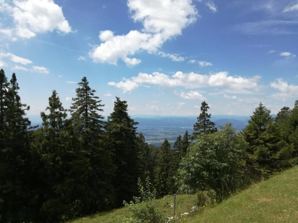 Apartmaji Vrhovnik