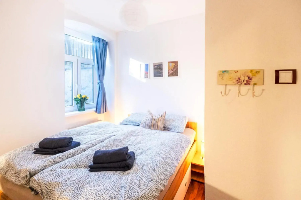 Downtown 2 rooms flat with garden and free garage parking