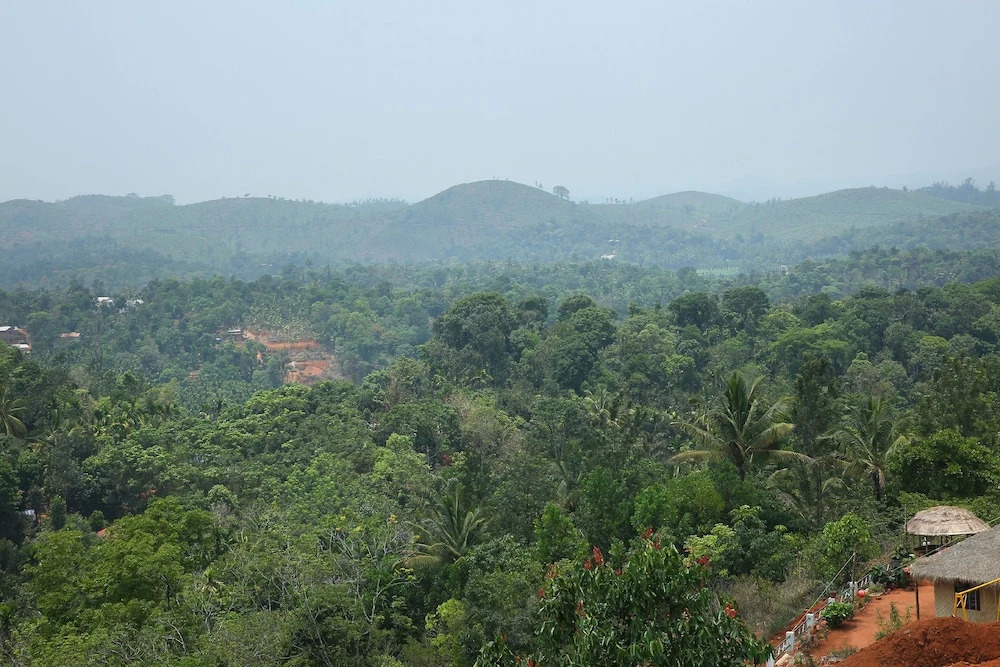 OYO 10460 Hotel Bethel Homestay