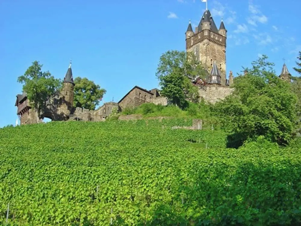 Living Above The Roofs Of Cochem