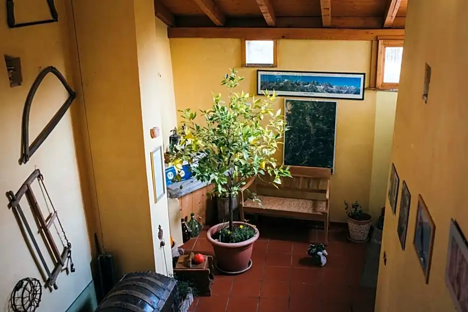 B&B Pedelmont
