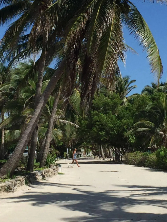 Caye Casa
