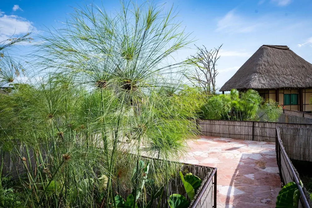Little Okavango Camp Serengeti