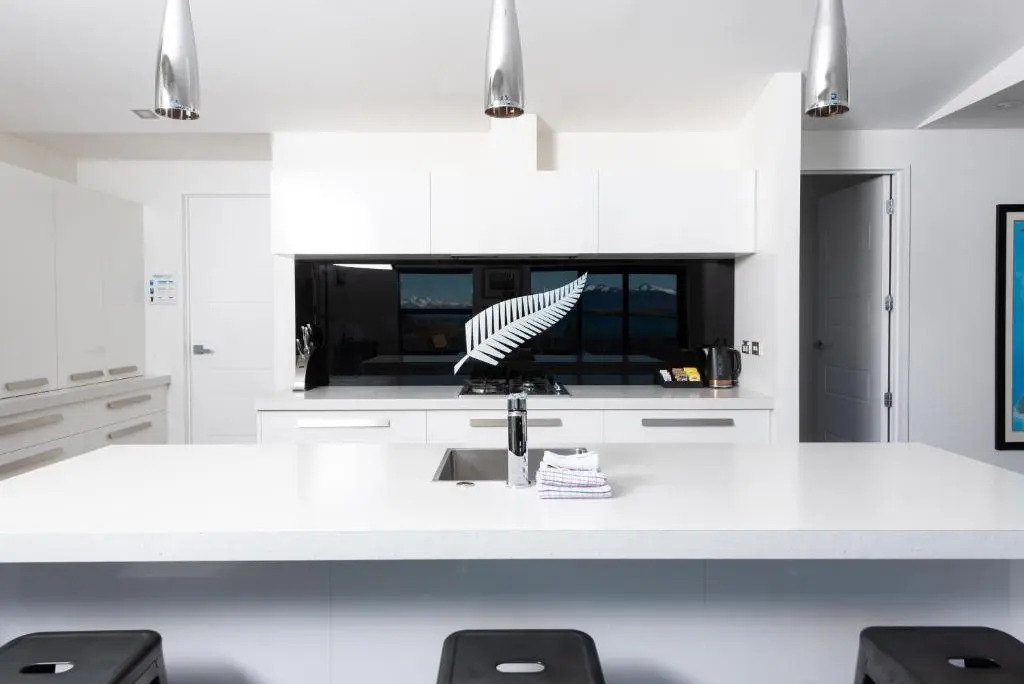 Silver Fern