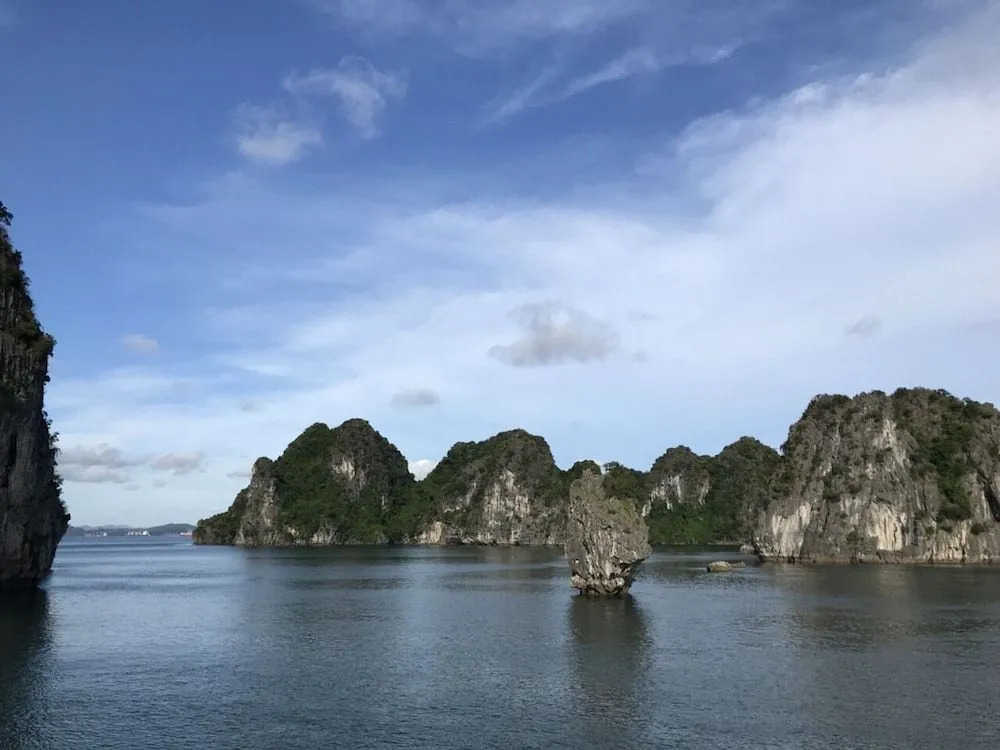 Apricot President Cruise