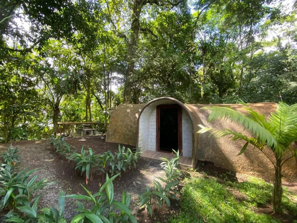 Rooms Flora y Fauna del Arenal