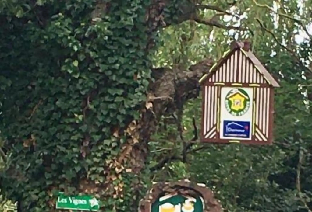 La Ferme Des Vignes