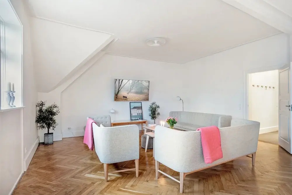 250 Sqm Smack Bang in the Center of Copenhagen