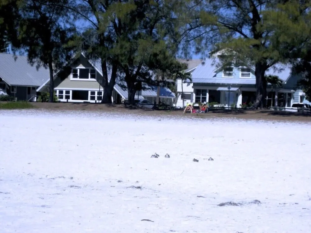 The Anna Maria Island Beach Castaway 2