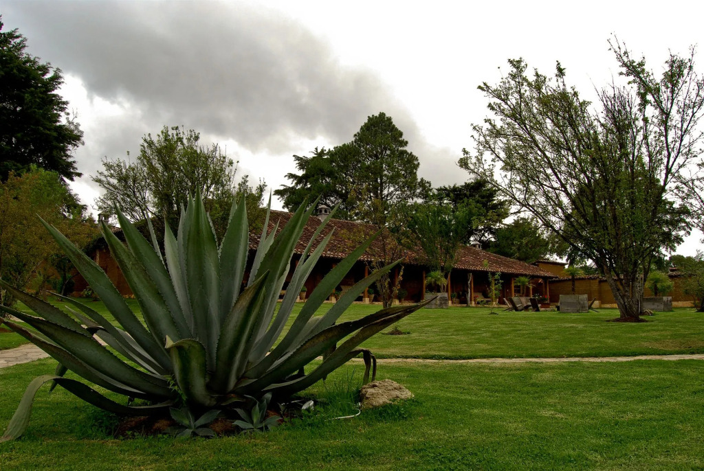 Uvence Garden Hotel