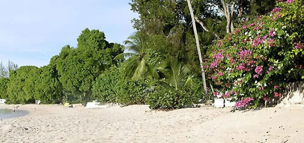 Emerald Beach 1 - Villa Solandra