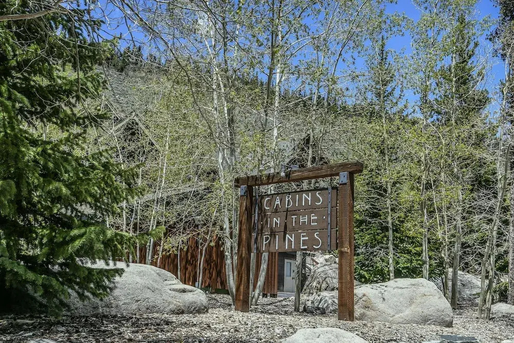 Cabin in the Pines 11 by SummitCove Vacation Lodging