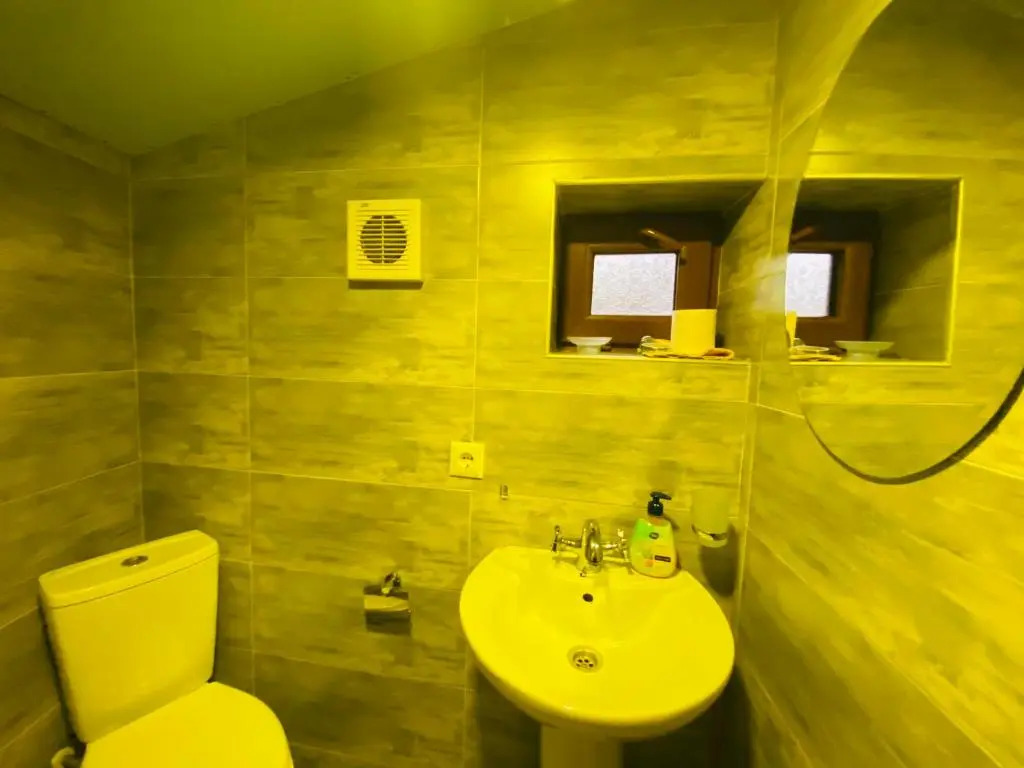 ბორჯომი საოჯახო სასტუმრო "გიომანი" Borjomi Guest House "GioMaNi" დასვენება ბორჯომში "GioMaNi"