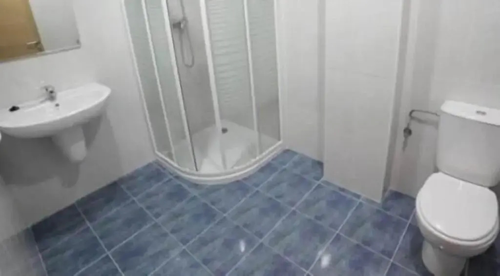 Pensión Palas