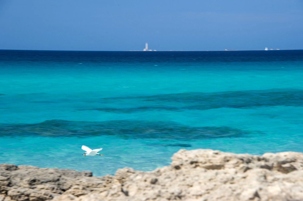 Joli Park Hotel - Caroli Hotels