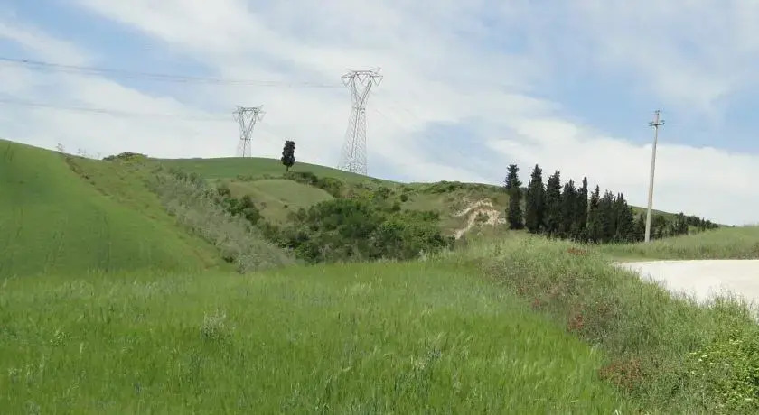 Il pollice verde