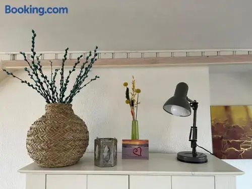 Studio Zuid 5