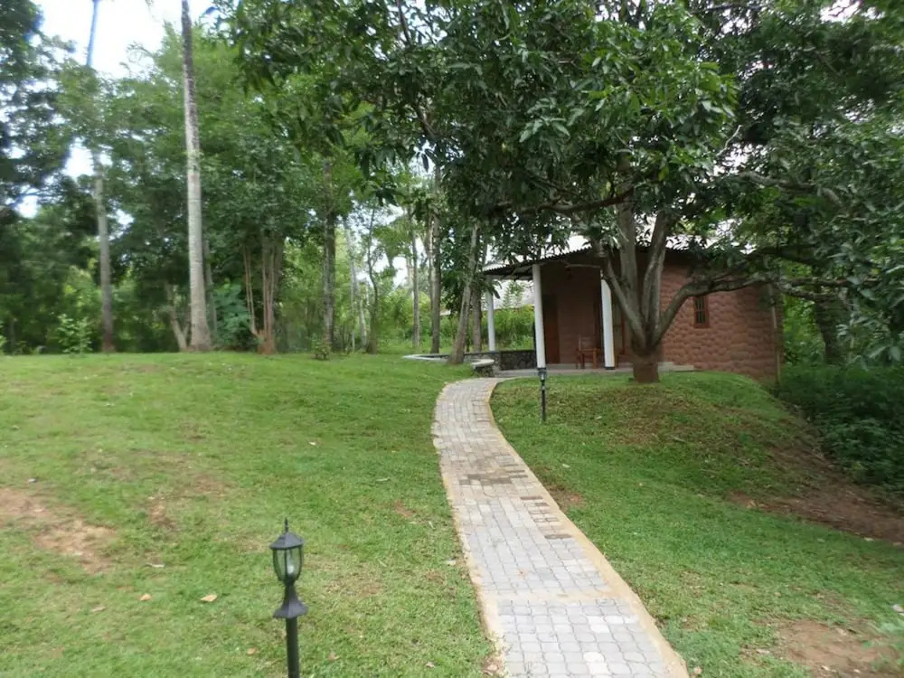 Safari Queens Resort