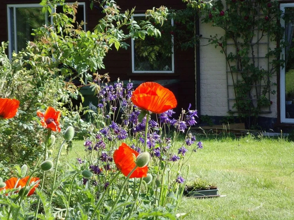 Stable Lodge B&B