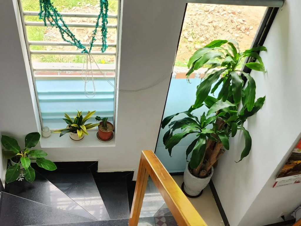 Sena home1*Overlooking Danang Dragon bridge