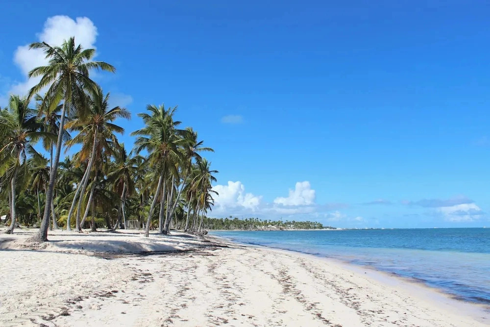Elegant Pool-view Apartment Near Punta Cana Beach