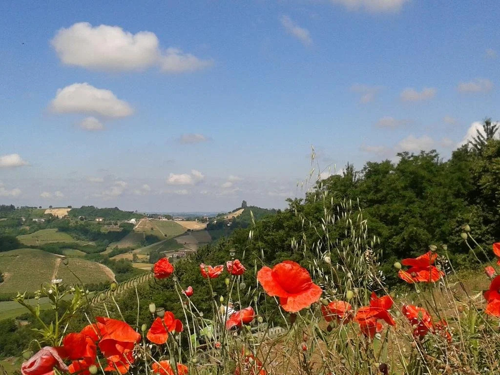 Cà D Rot - Casa Ratti