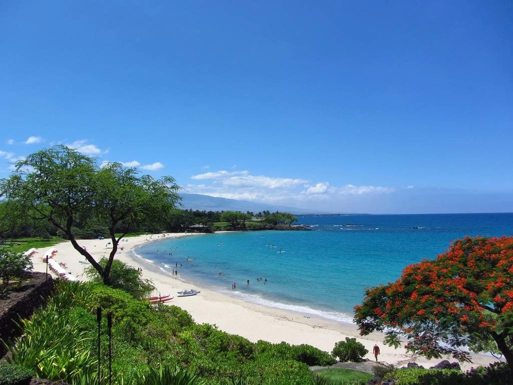 Kohala Lodge- Vacation Rental House