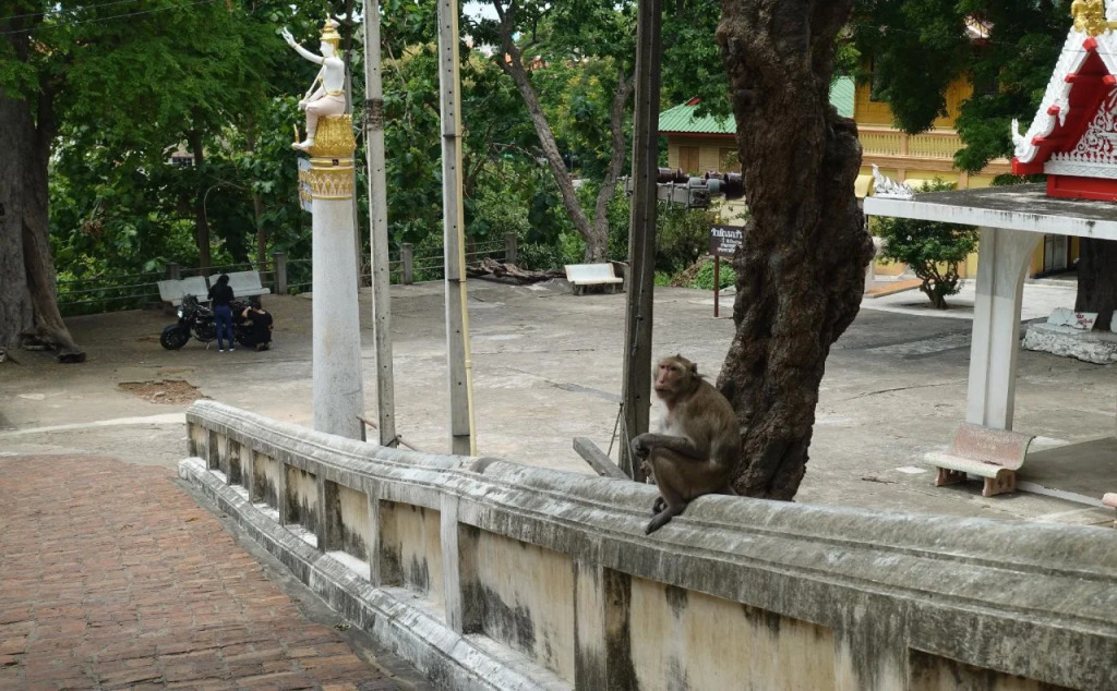 Core Khiri Hostel
