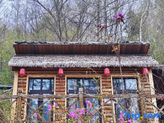 Changbaishan Tianmu Daisi Hot Spring Hotel