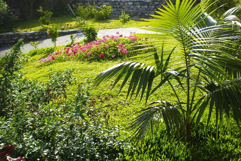 Holiday home, Ribeira Brava