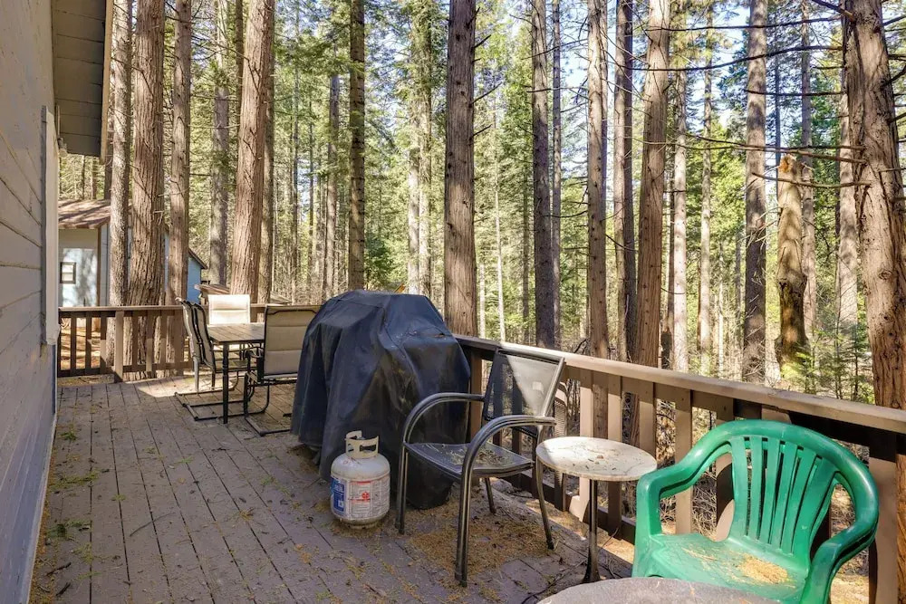 Hike, Ski & Sip: Arnold Cabin 4 Mi to State Park!