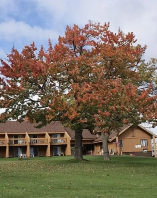 Timber Inn