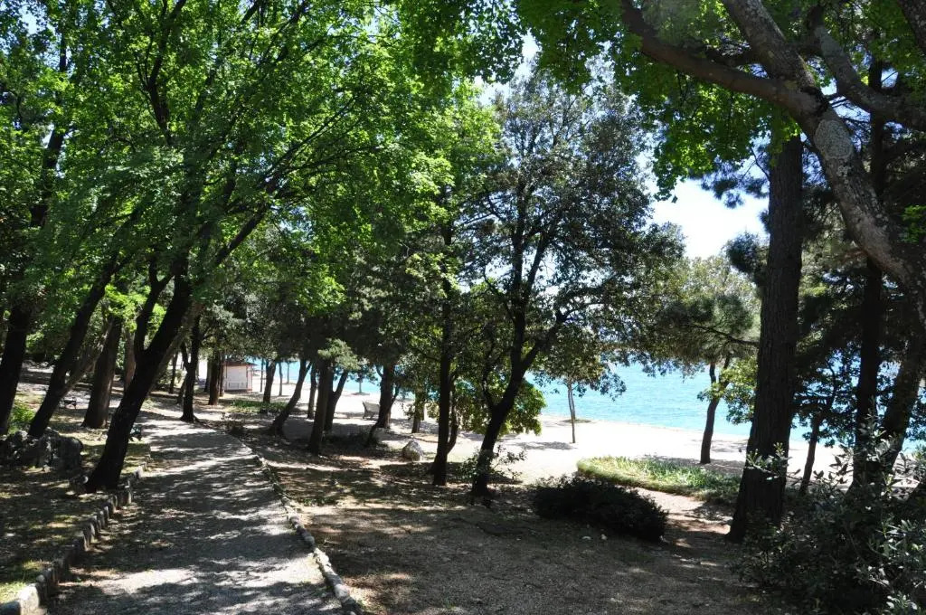 Apartman Ana
