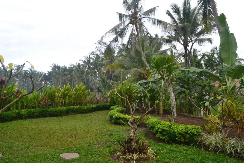Srijaya Ubud