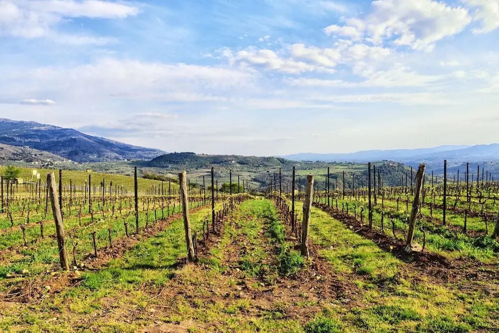 Romantic flat in Florence Countryside Apartment 1 BestStayz.1